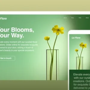 React front end develooment