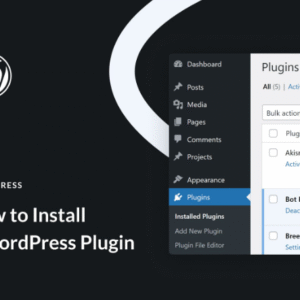 WordPress Plugin Install & Setup	1 plugin