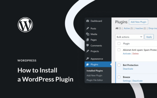 WordPress Plugin Install & Setup	1 plugin